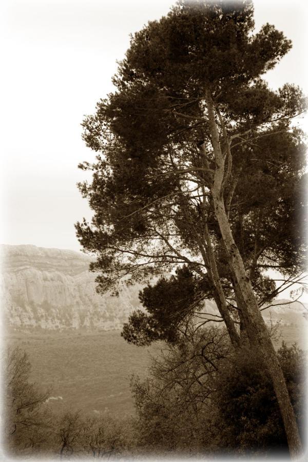 Chez Elles En Provence Villa น็องส์-เลส์-แป็งส์ ภายนอก รูปภาพ